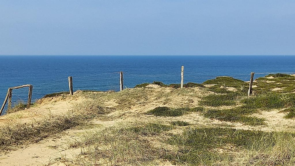 Sylt (39)